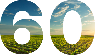 60