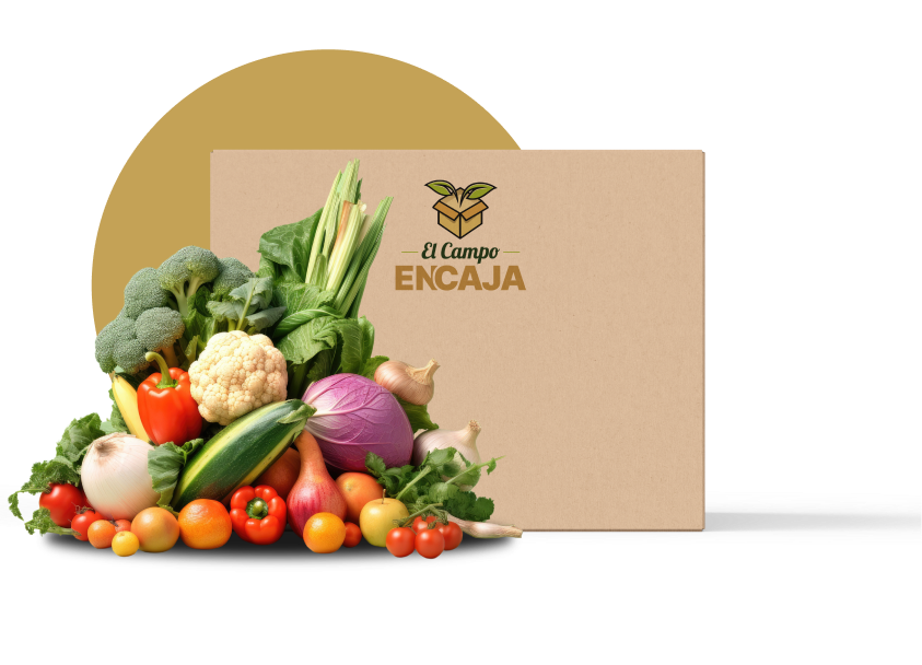 Caja Temporada con Bg