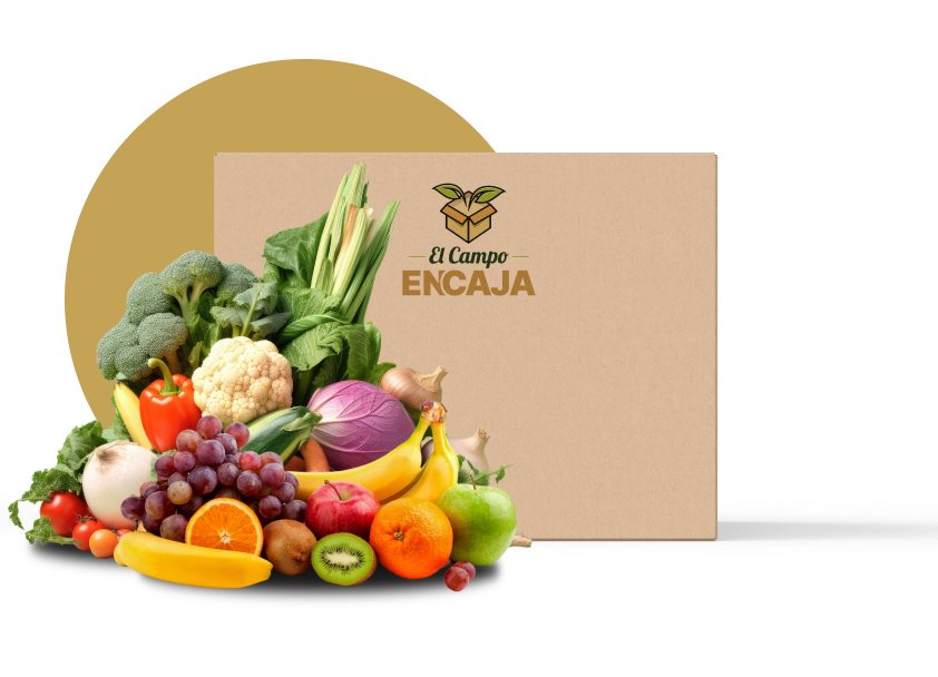Caja Frutas