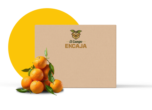 Caja Naranjas Con Fondo